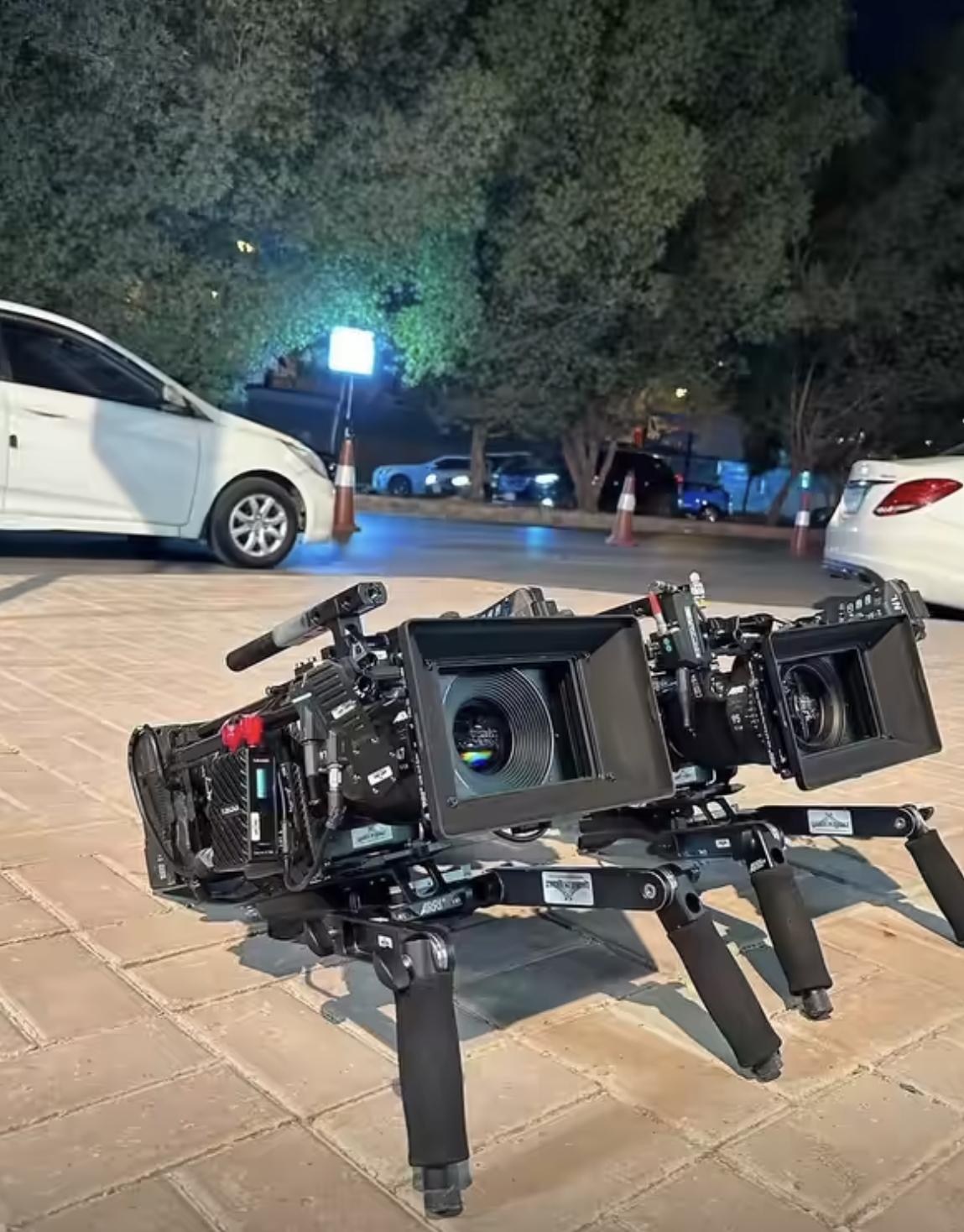 Portrait professionnel